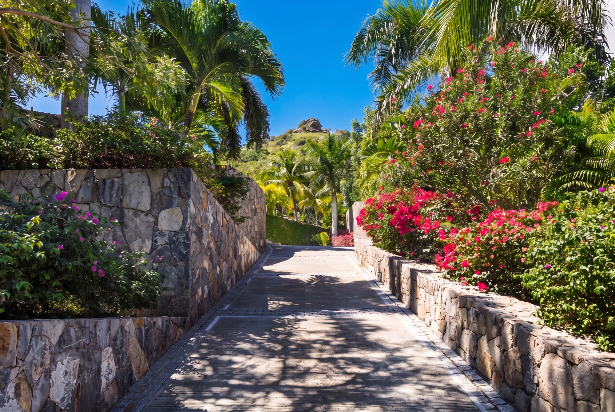 The path in, bougainvillea along the stone wall