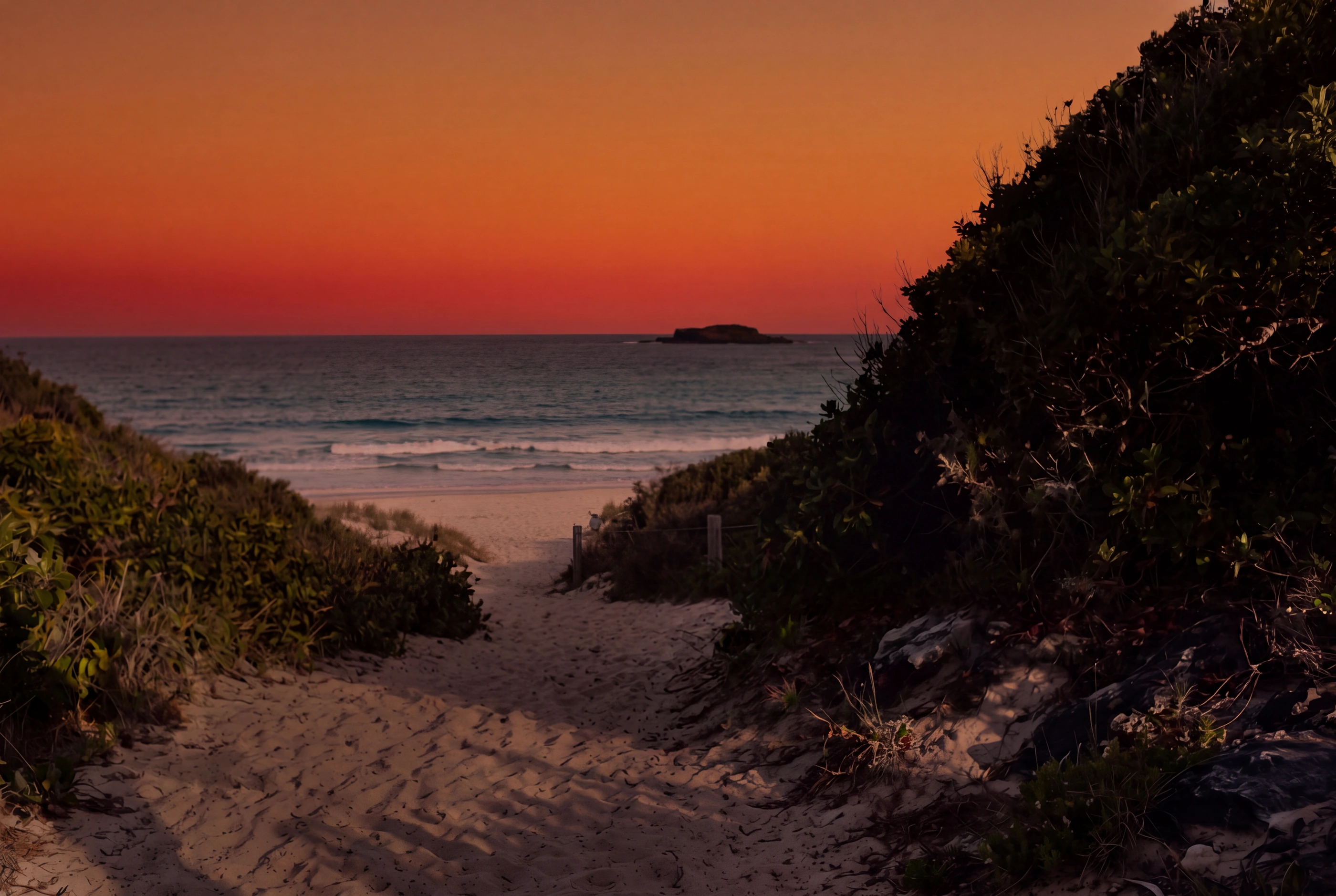 The sandy path at dusk